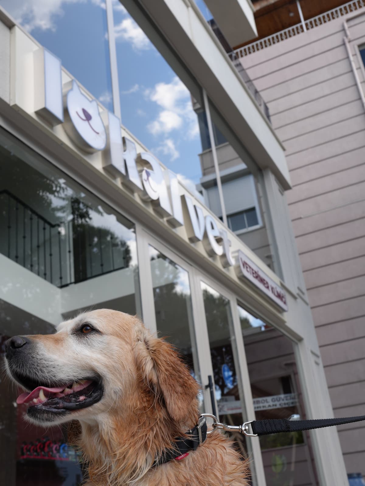 Lokalvet Veteriner Kliniği